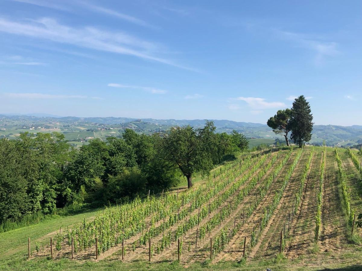 Cascina San Michele Bed & Breakfast Costigliole d'Asti Eksteriør bilde