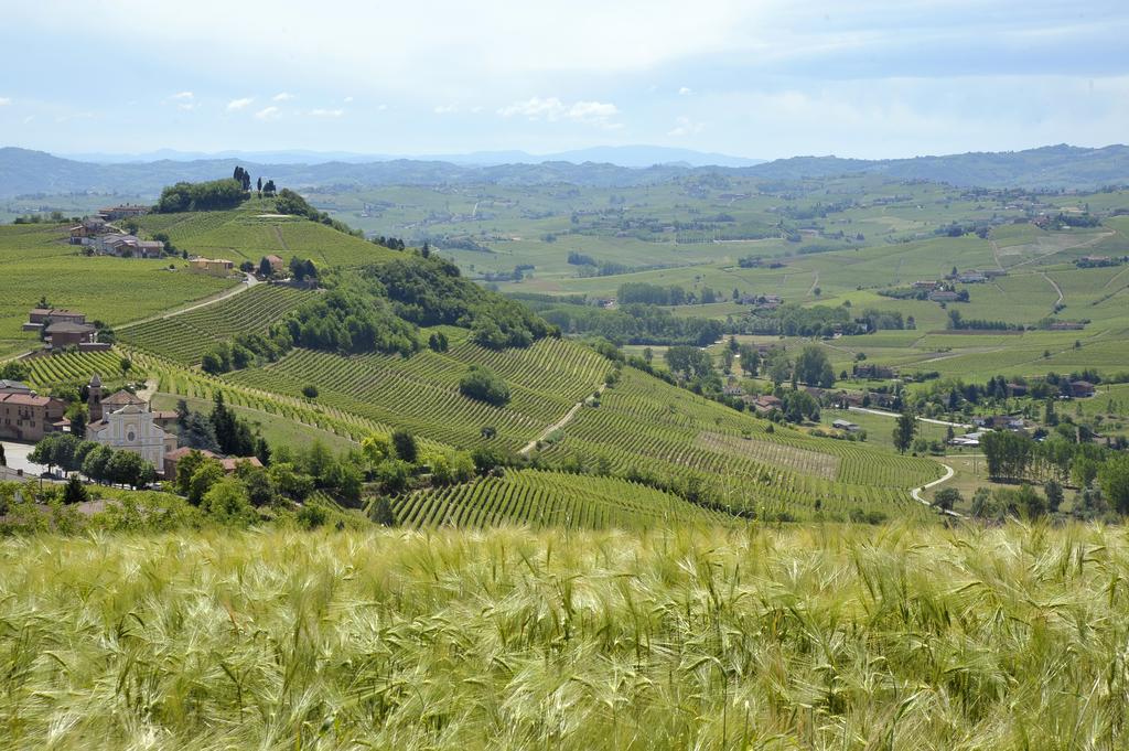 Cascina San Michele Bed & Breakfast Costigliole d'Asti Eksteriør bilde