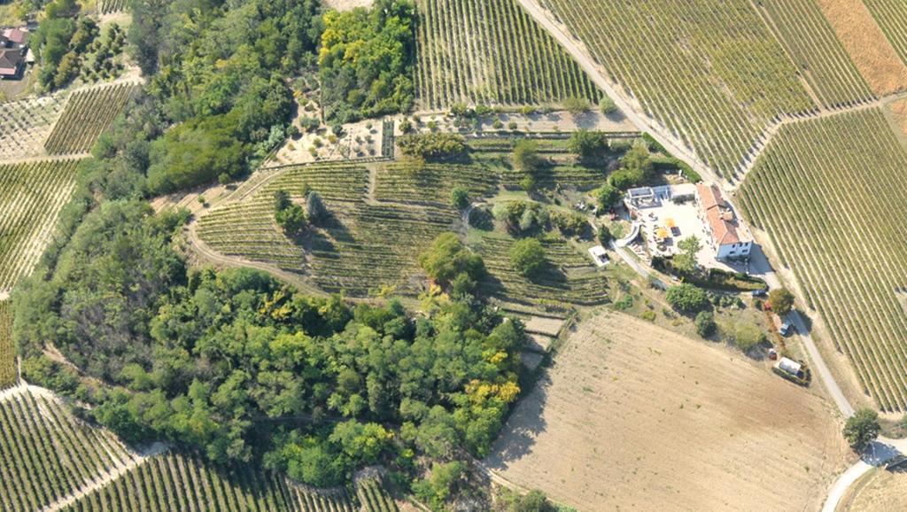 Cascina San Michele Bed & Breakfast Costigliole d'Asti Eksteriør bilde