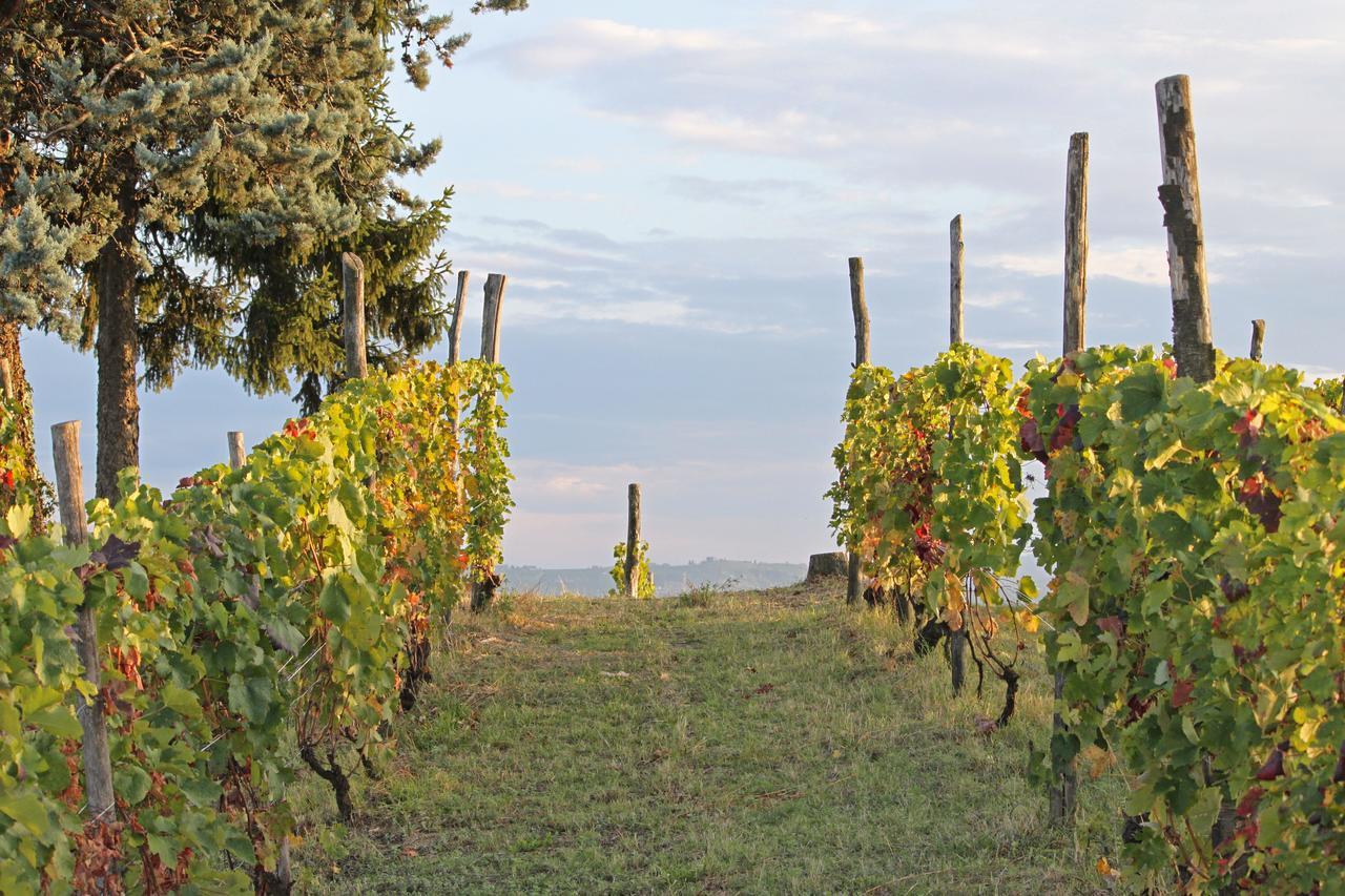 Cascina San Michele Bed & Breakfast Costigliole d'Asti Eksteriør bilde